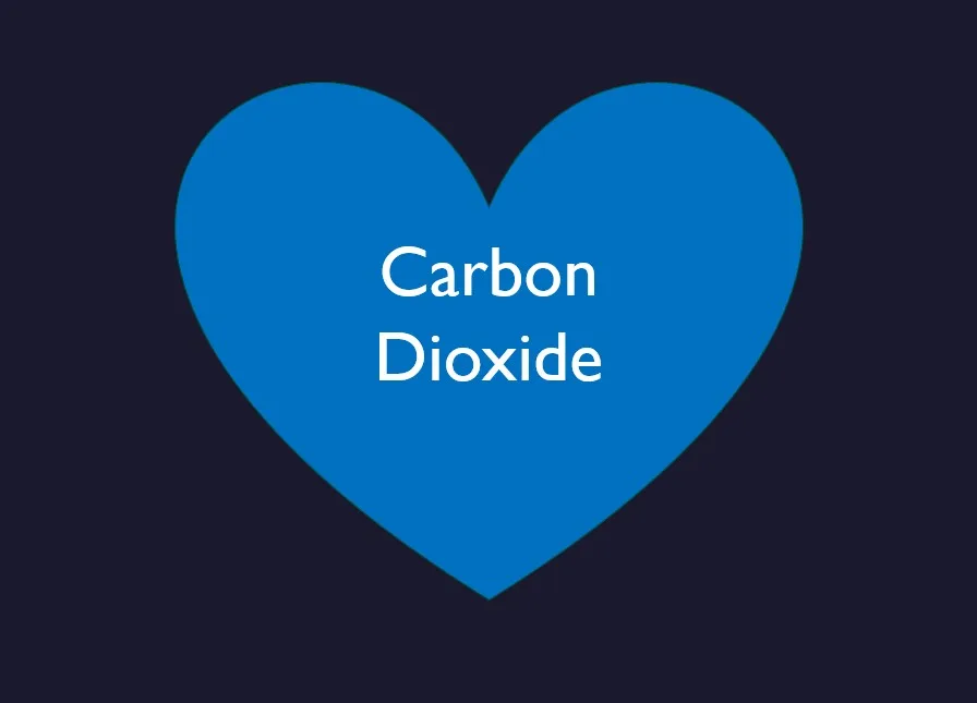 Carbon Dioxide – Why we need it