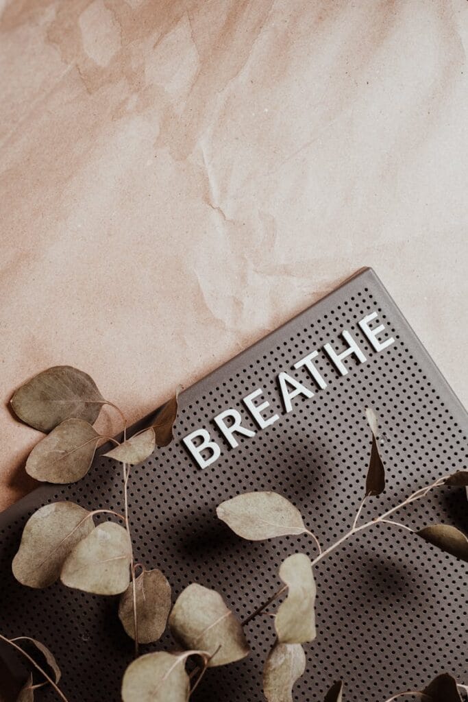 A serene still life featuring a text board with 'BREATHE' and surrounding foliage.