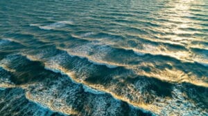 waves in harmony
