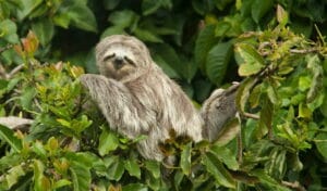 Breathe, Relax, and Unwind