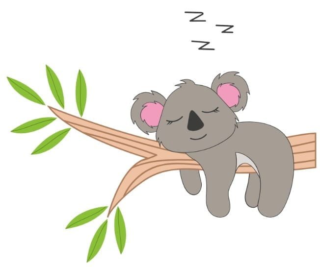 Sleepy gray koala lounging on a brown tree branch with green leaves, eyes closed and Zs overhead, napping.