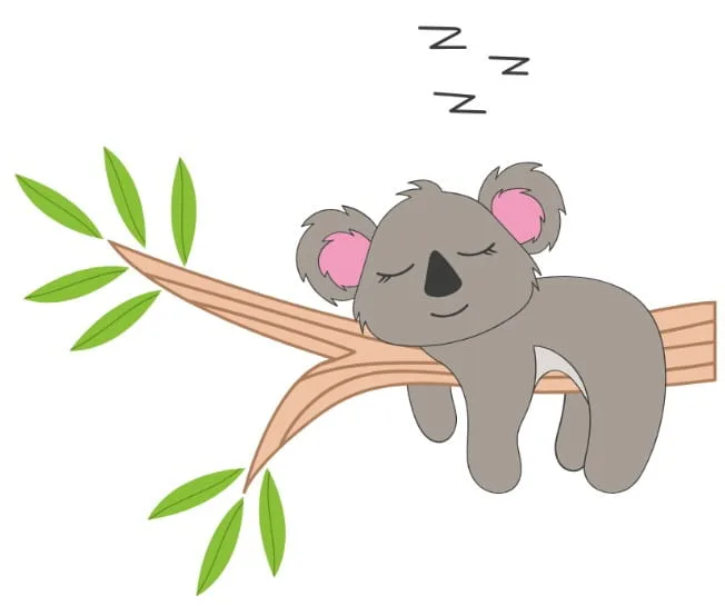 Sleepy gray koala lounging on a brown tree branch with green leaves, eyes closed and Zs overhead, napping.